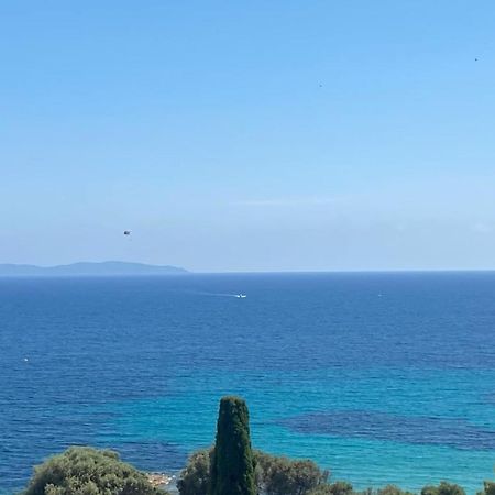 Nice And Bright 60 M With Terrace View On The Sea Ajaccio  Eksteriør bilde