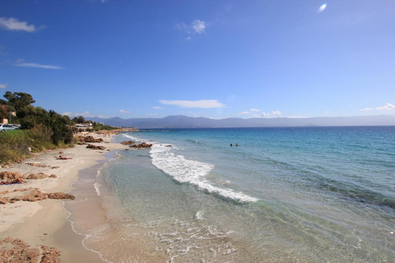 Nice And Bright 60 M With Terrace View On The Sea Ajaccio  Eksteriør bilde